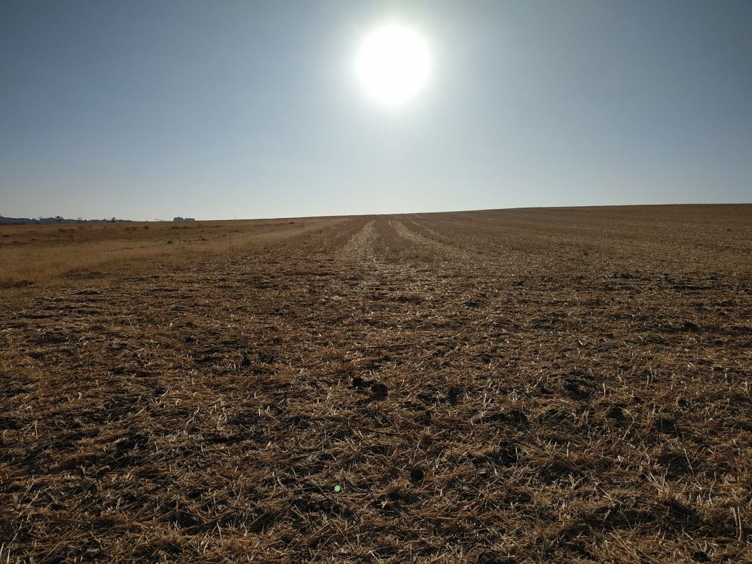 Tierra de barbecho una vez que ha finalizado la cosecha