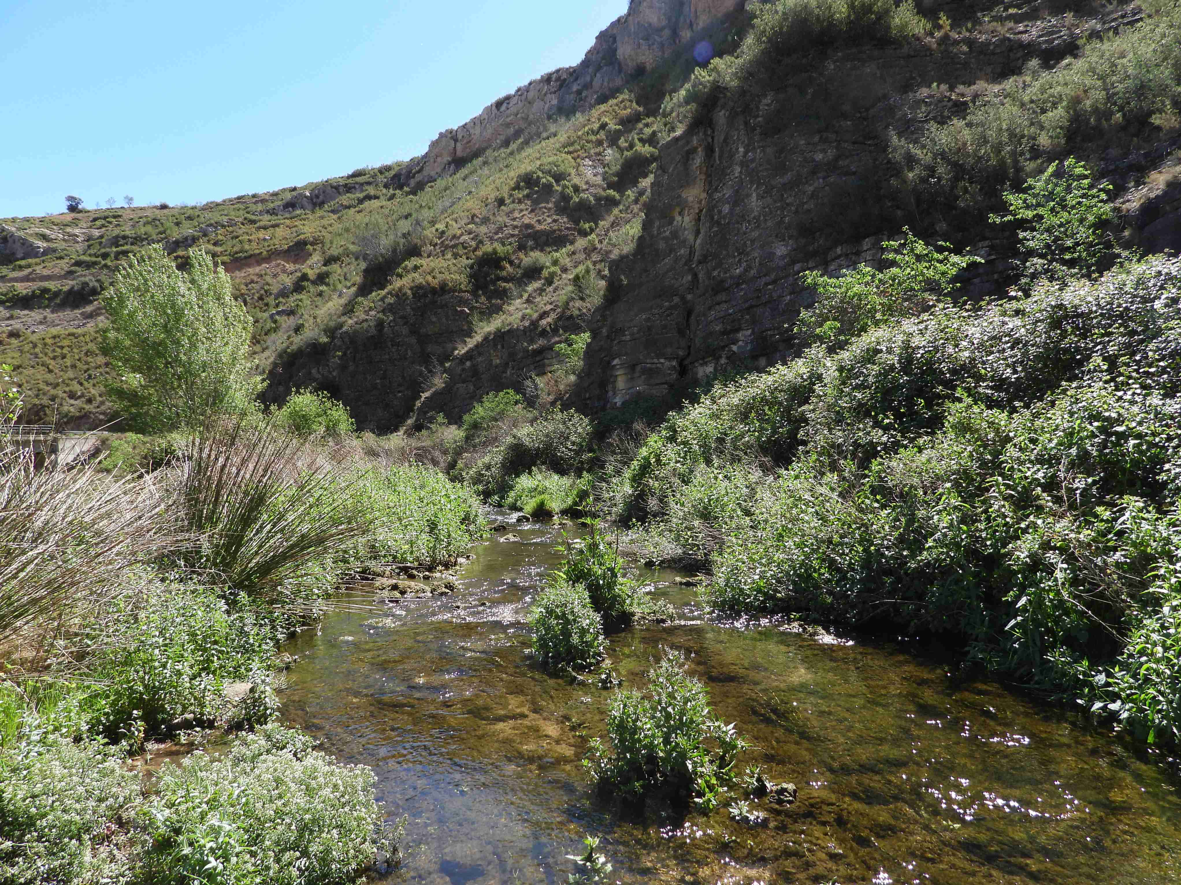 Imagen del río Palancia