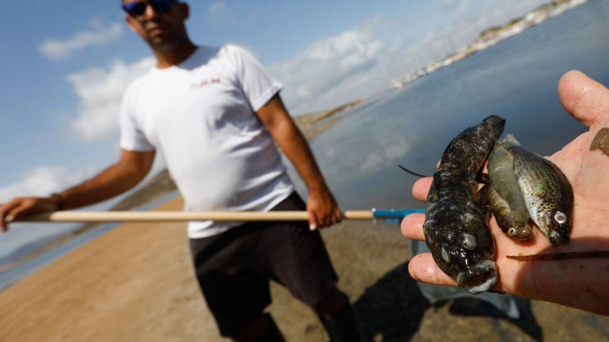 Juan Manuel Ruíz (IEO): "Podemos experimentar, pero un proceso a esta escala es muy difícil de parar"