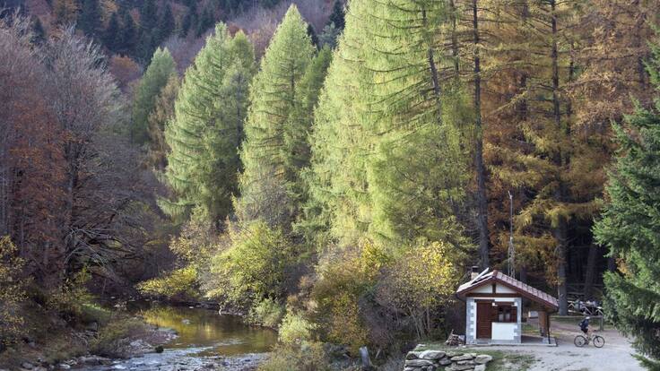 SER VIAJEROS EUSKADI VIERNES 25 DE OCTUBRE DE 2019