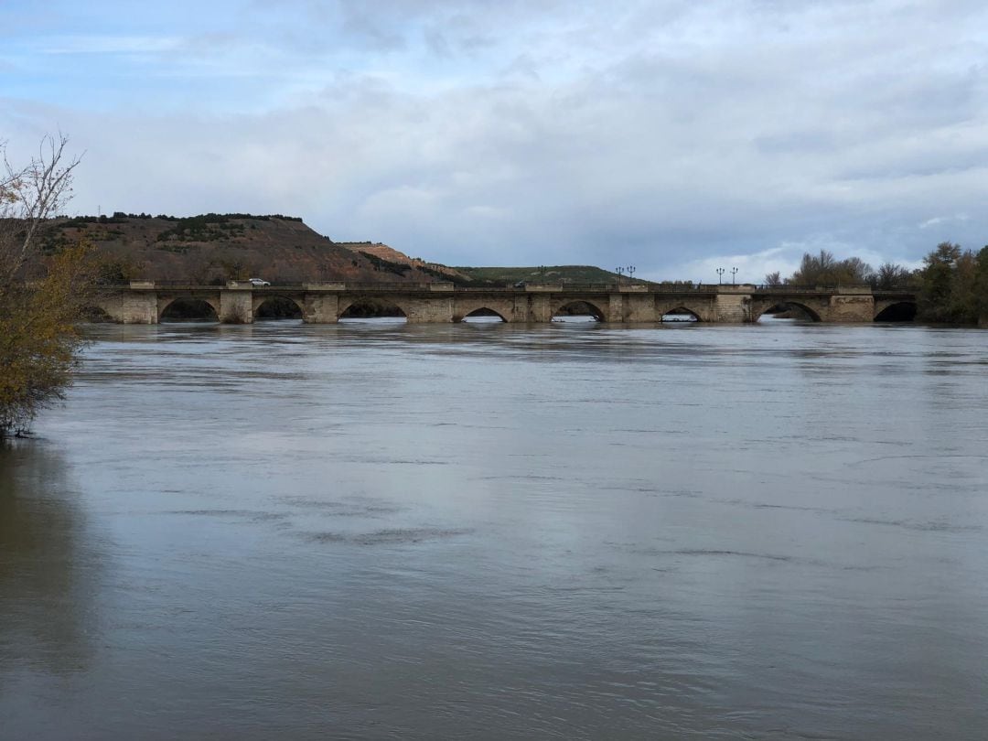 Río Ebro a su paso por Tudela