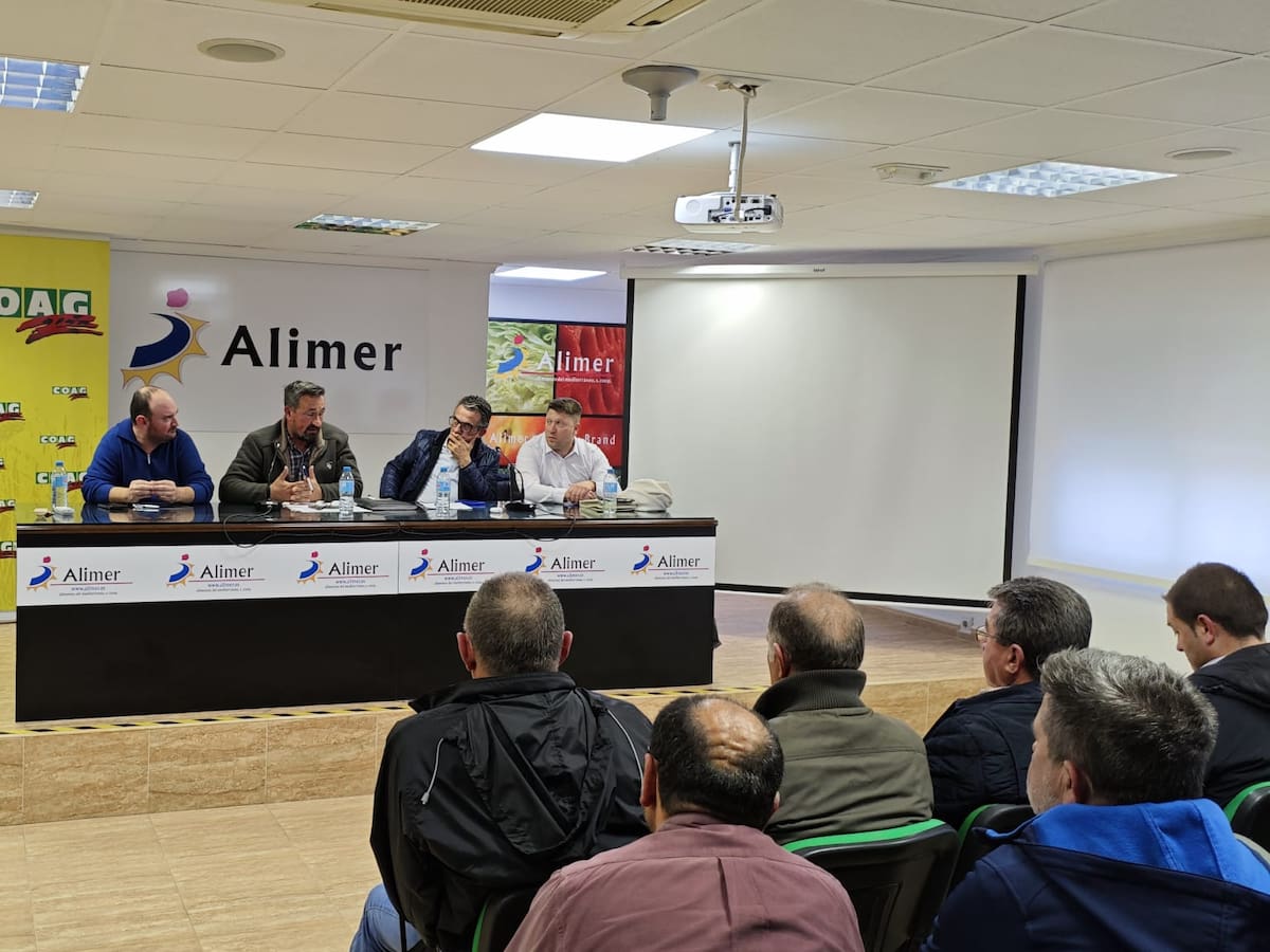 Lorca reclama al Gobierno de España la autorización excepcional de productos específicos contra la plaga de pulgón