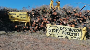 La alcaldesa de Enguera niega las acusaciones de Acció Ecologista Agró sobre la Sierra de Enguera