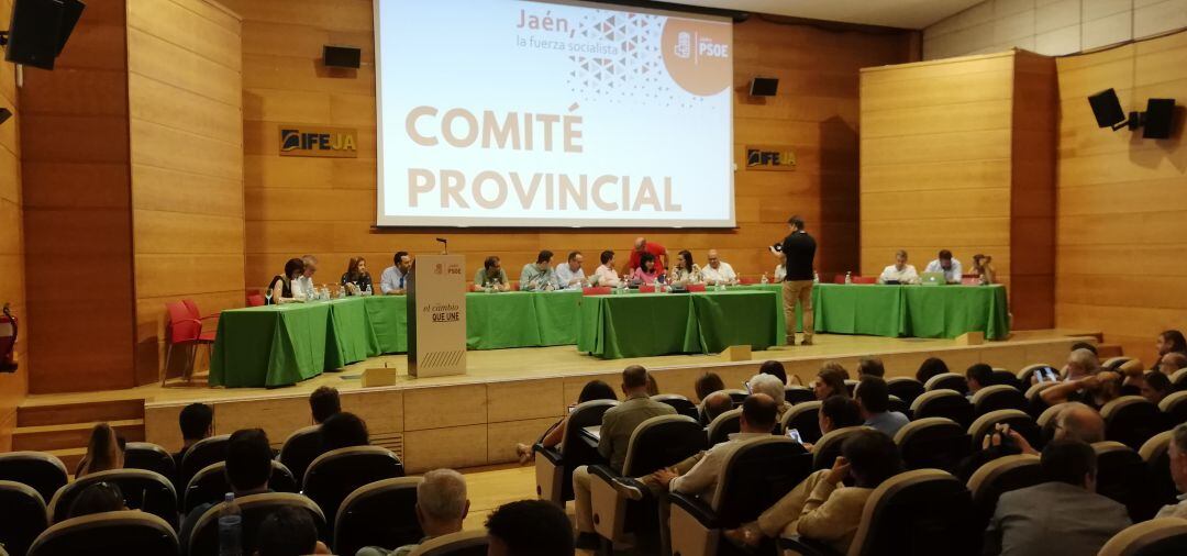 Comité Provincial de Partido Socialista de Jaén celebrado este martes, 18 de junio.