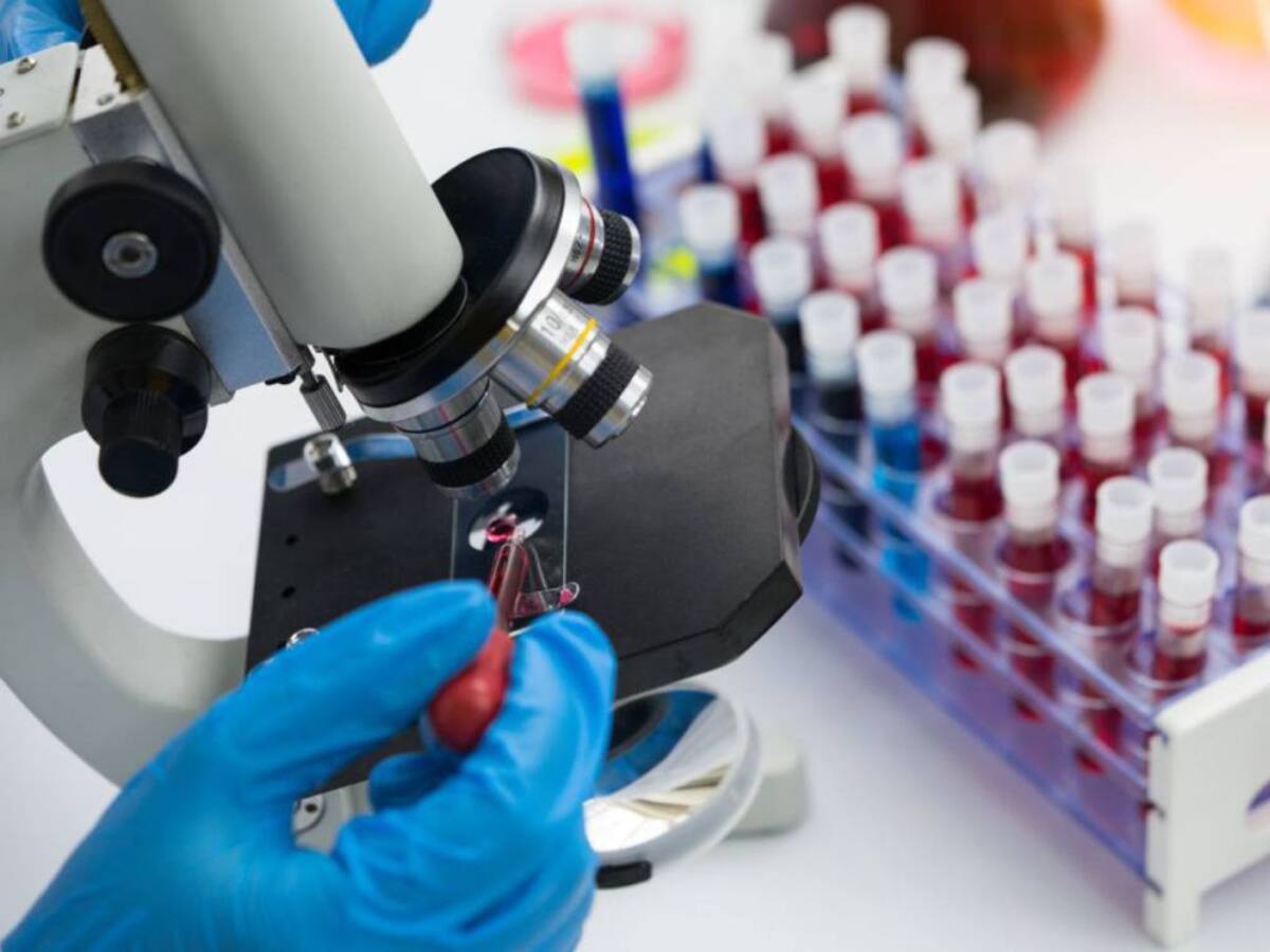 "Muchas acciones no han estado a la altura de la magnitud de la epidemia"