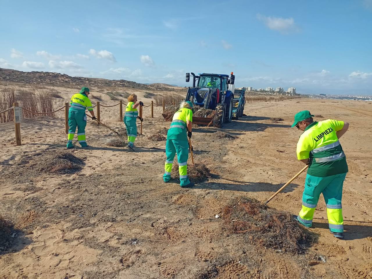 Trabajadores realizando las labores de limpieza de las playas de Elche