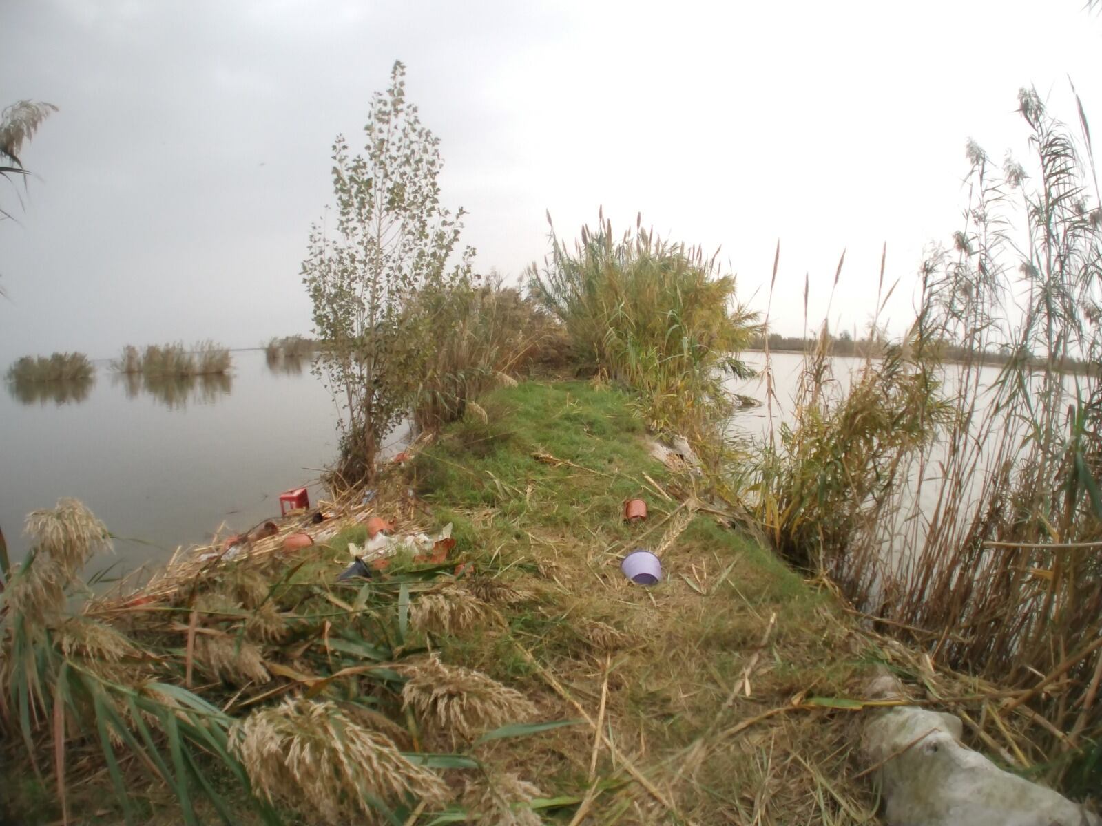 Una de las motas que separan los campos de arroz de la Albufera afectadas por la DANA.