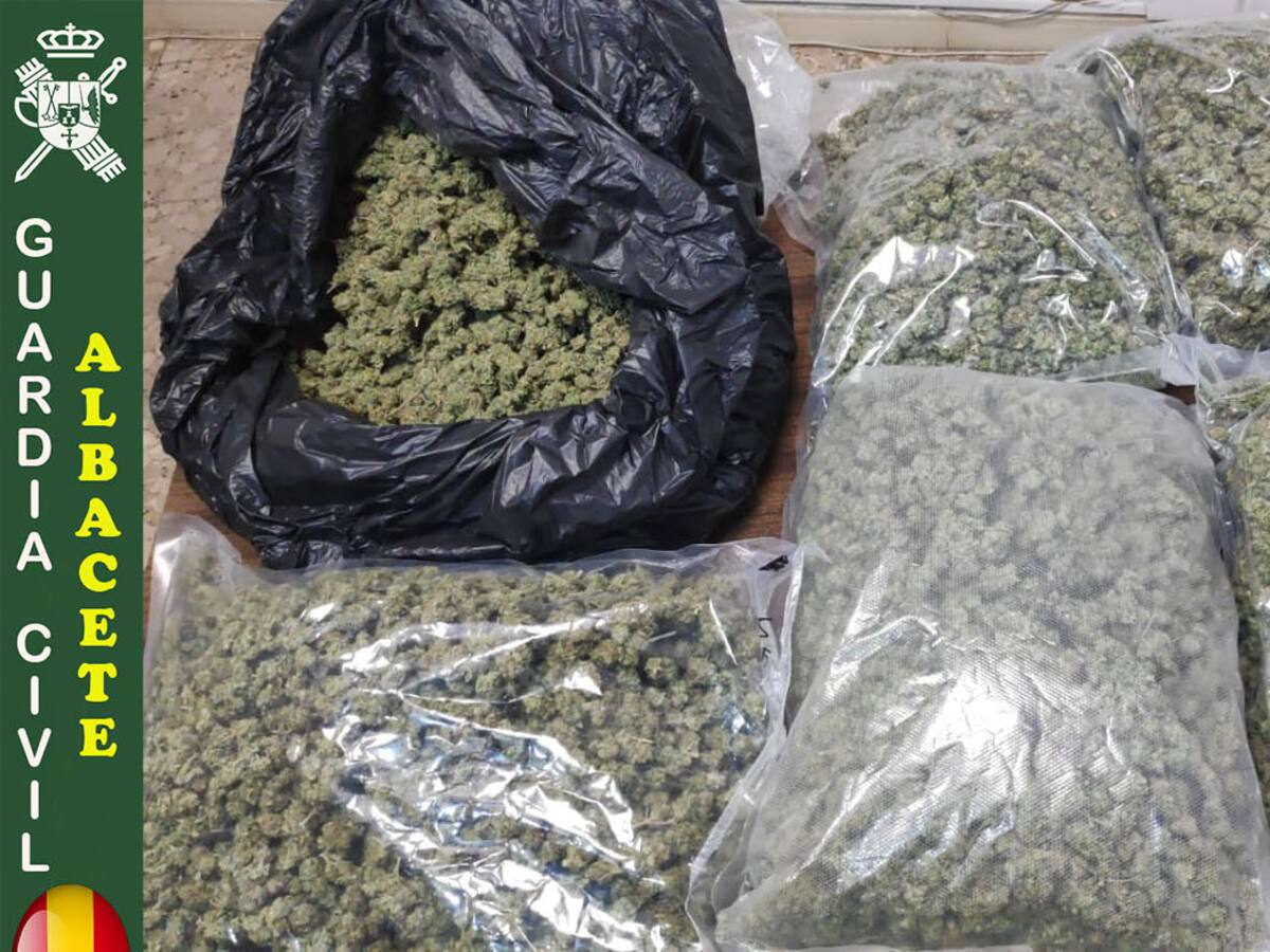 La Guardia Civil de Albacete interviene 6 kilos de cogollos de marihuana