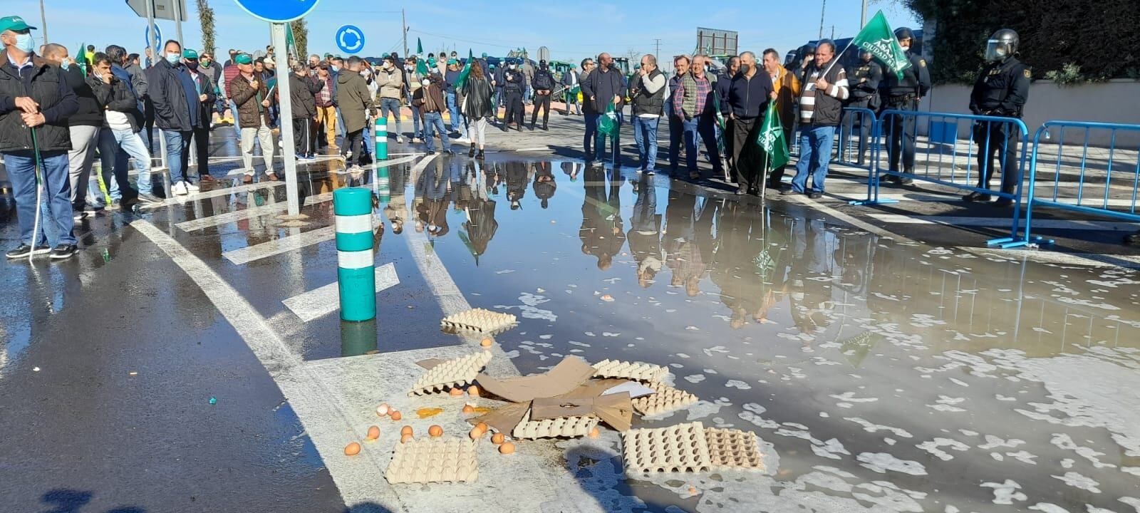 Imagen de los huevos y el agua que han arrojado junto a la sede de la CHG