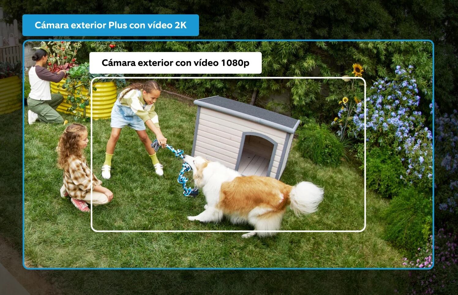 Graba en calidades de hasta 2K.