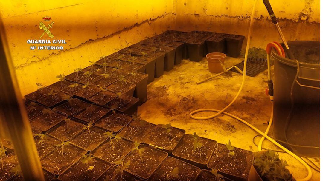 Plantación de marihuana &#039;indoor&#039; intervenida por los agentes