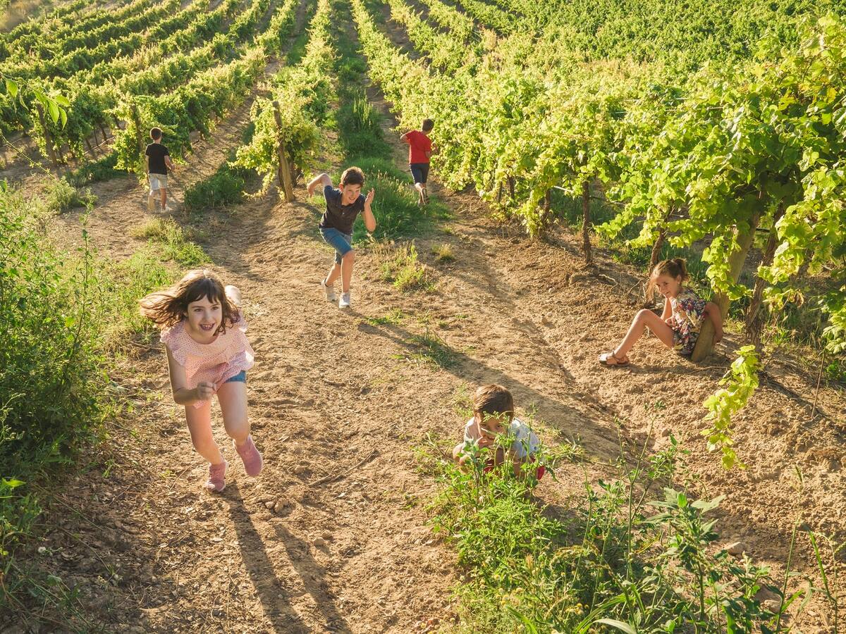 La Ruta del Vino Somontano, Mejor Acción de Promoción en los Premios Rutas del Vino de España 2022