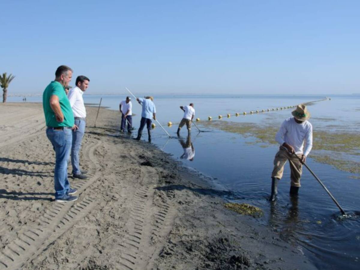 En marcha por segunda vez el protocolo de limpieza de algas superficiales de las aguas de Los Urrutias