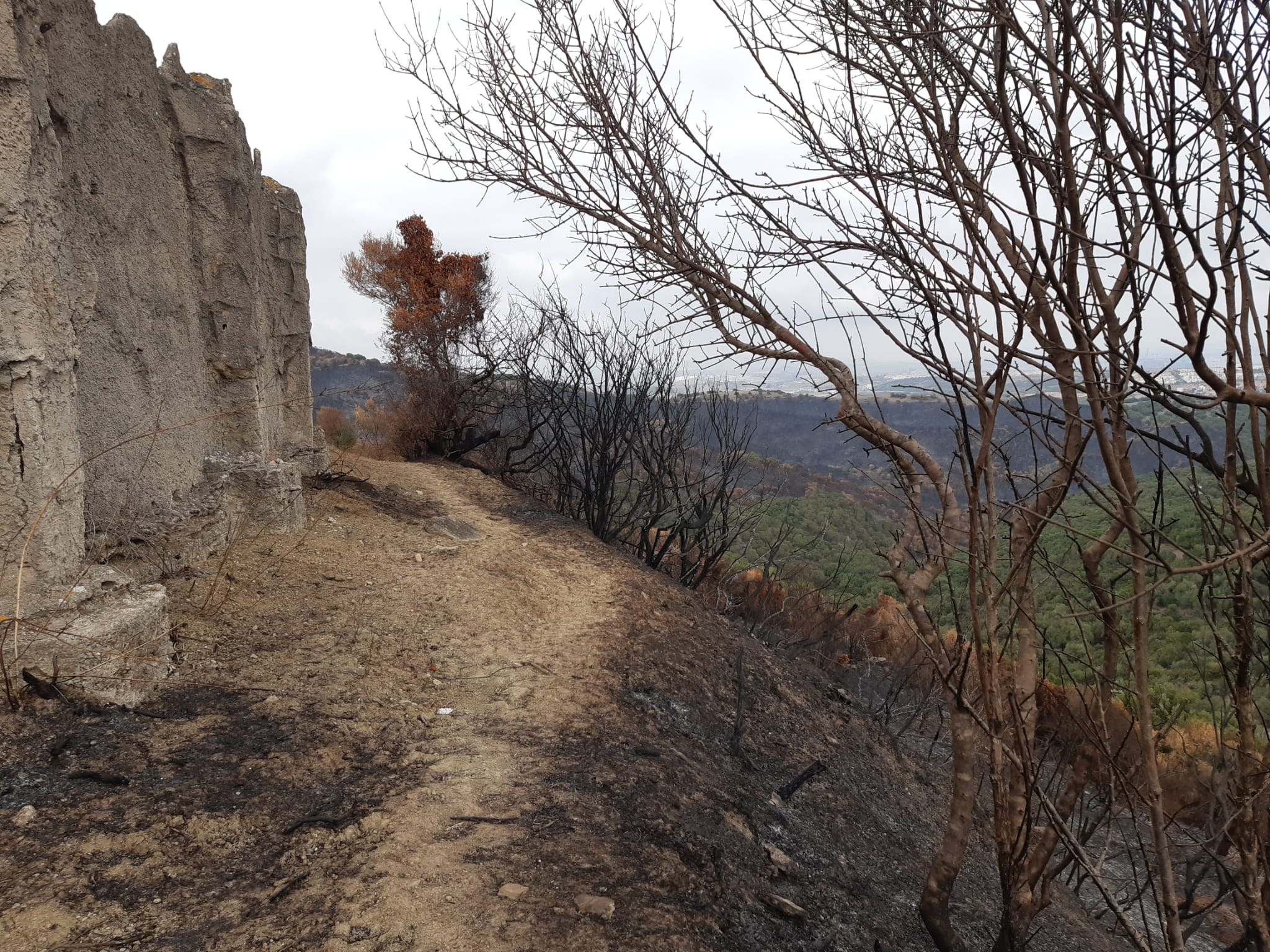 Así quedaron Las Pantallas tras el incendio del pasado mes de octubre.