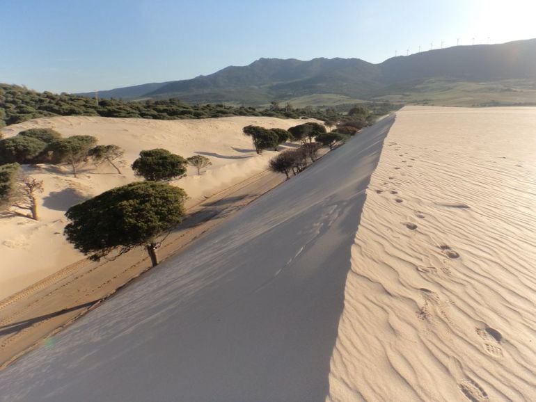 Carretera de Paloma Baja cortada por la arena de la duna 