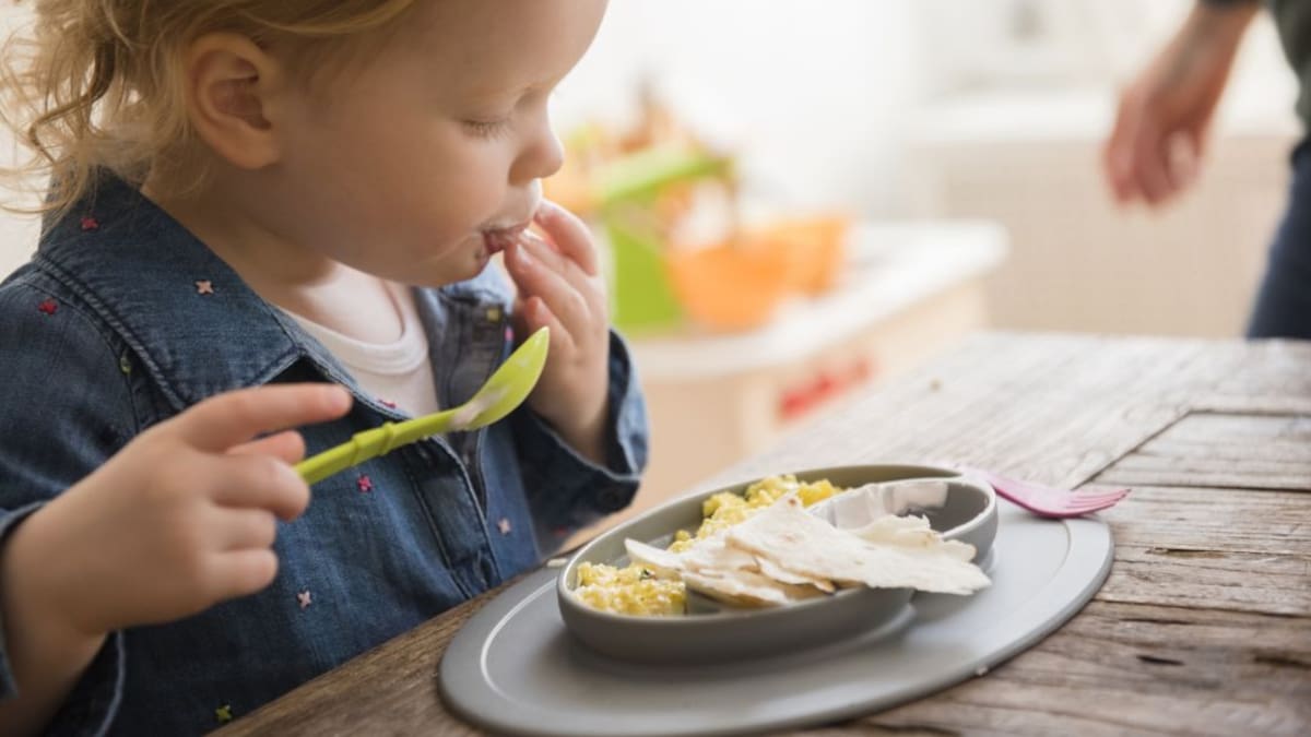La calidad en los comedores escolares