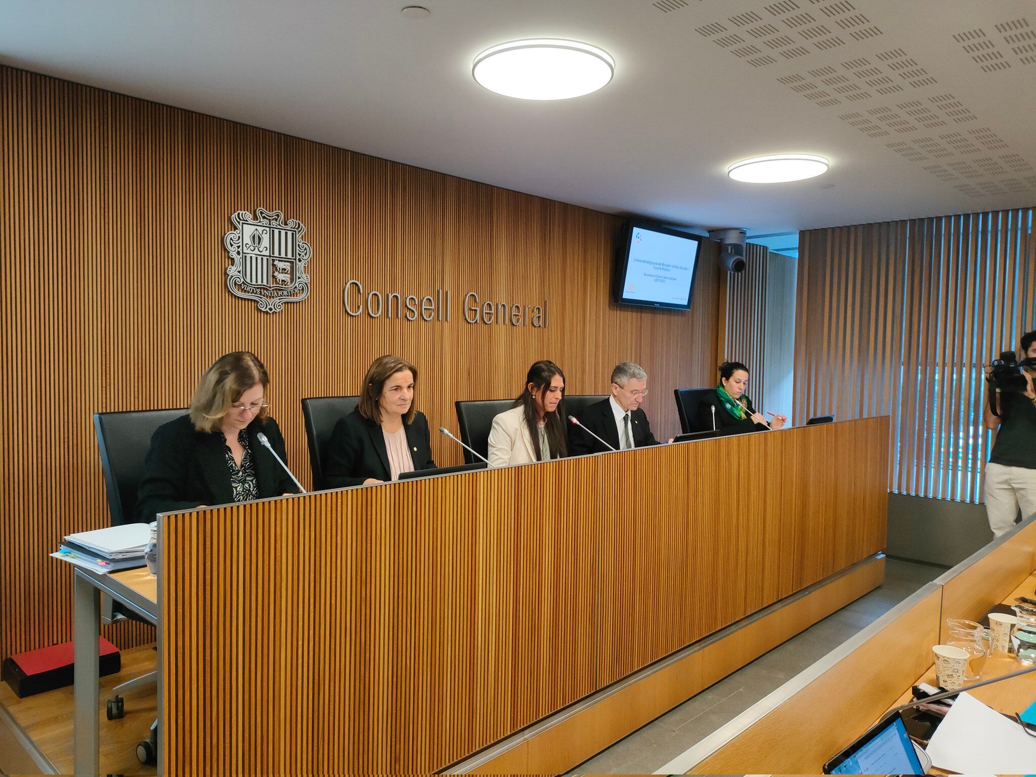 La ministra Trini Marín davant la comissió legislativa d'Afers Socials en compareixença pública, aquest divendres al Consell General.