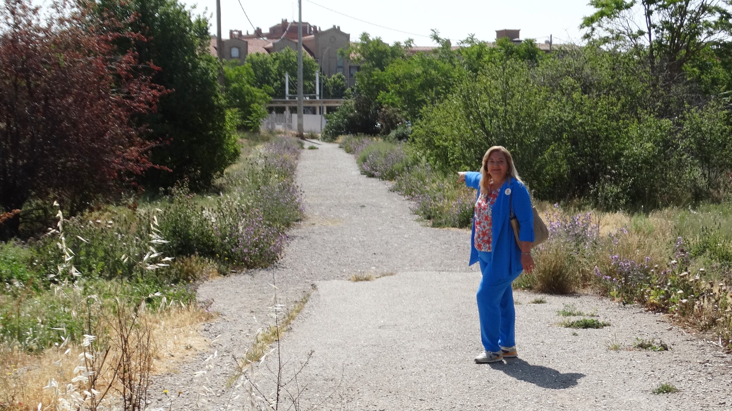 Gabás en el alcorce.