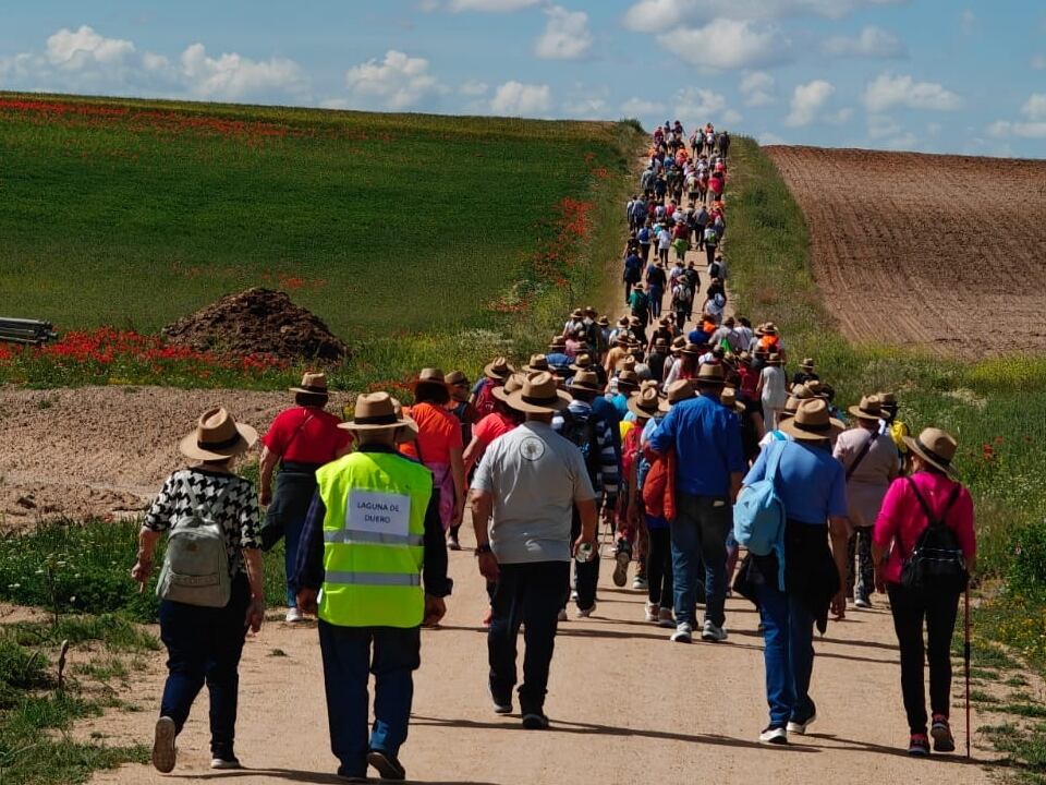 Paseo Saludable de Diputación de Valladolid por Alaejos