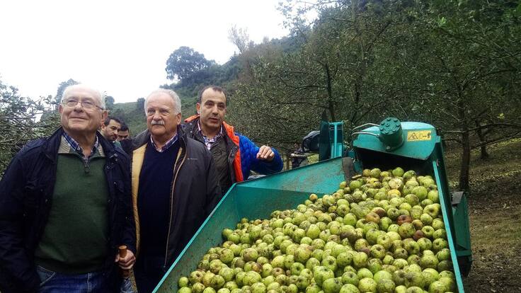 A Vivir que son dos días Asturias asiste al proceso de producción de Sidra DOP