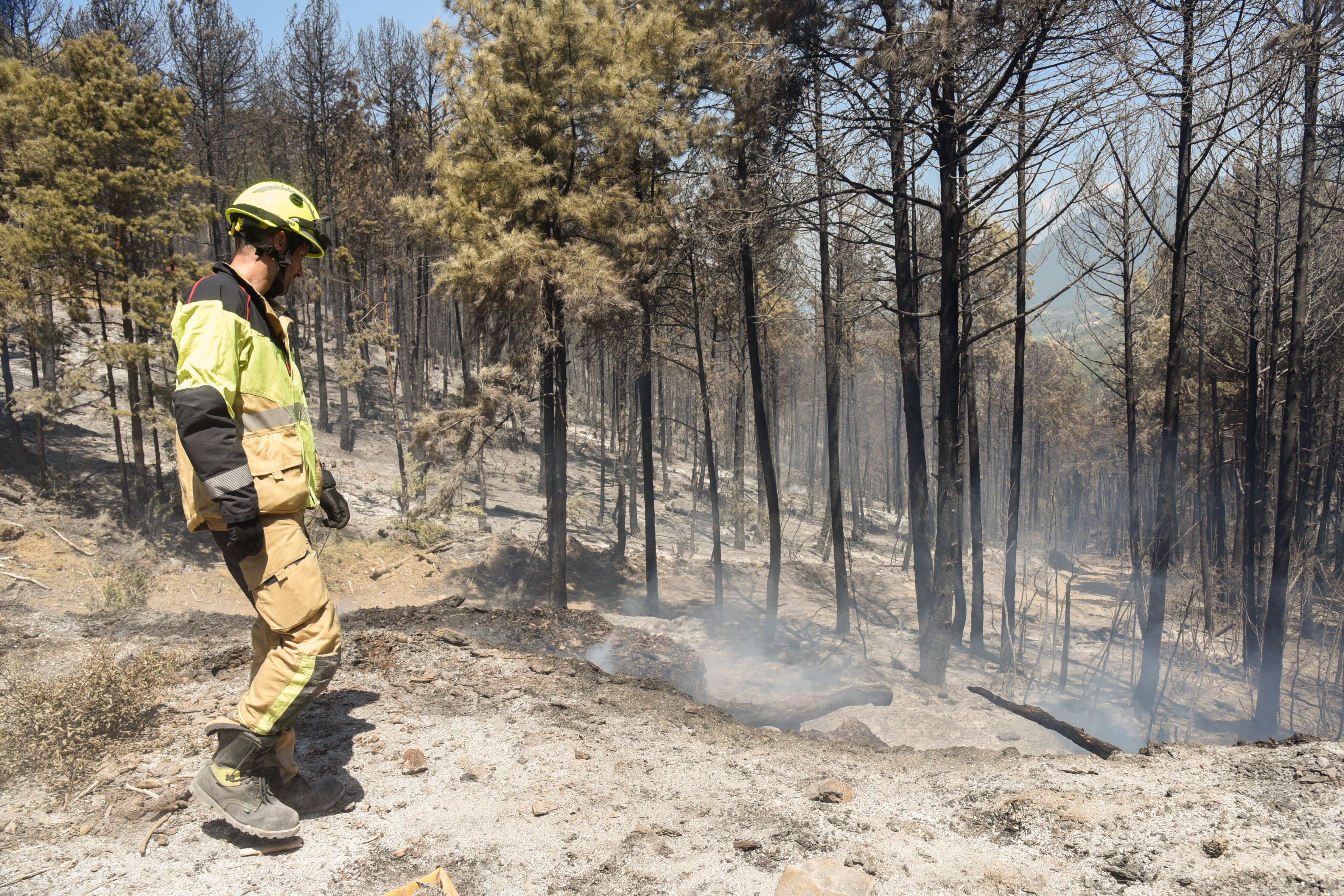 Equipos de extinción trabajan en el incendio forestal en la localidad de El Pueyo de Araguás, donde han ardido hasta el momento sobre 140 hectáreas EFE/ Javier Blasco