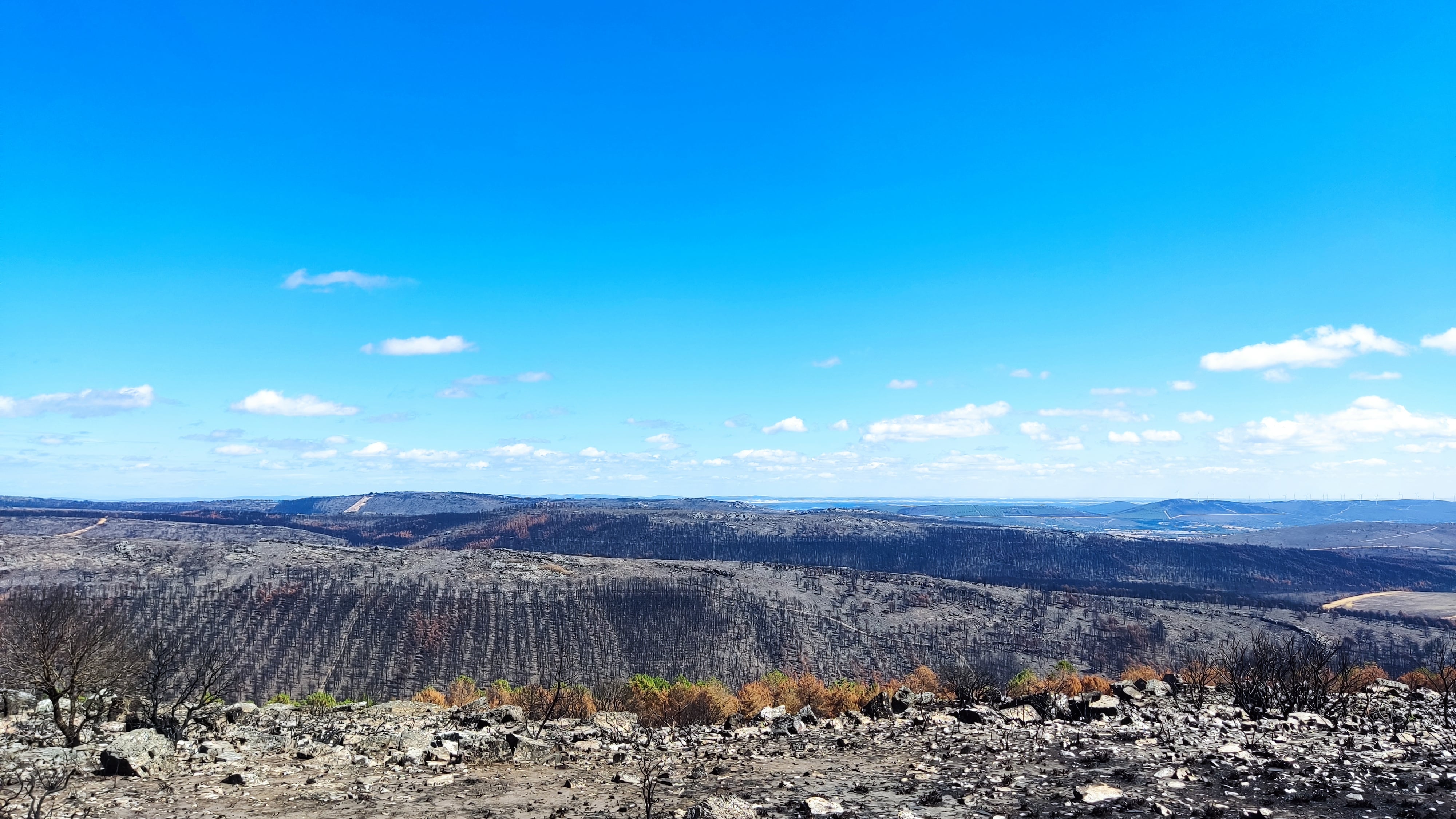 Panorámica de la zona quemada en Tábara (Zamora)