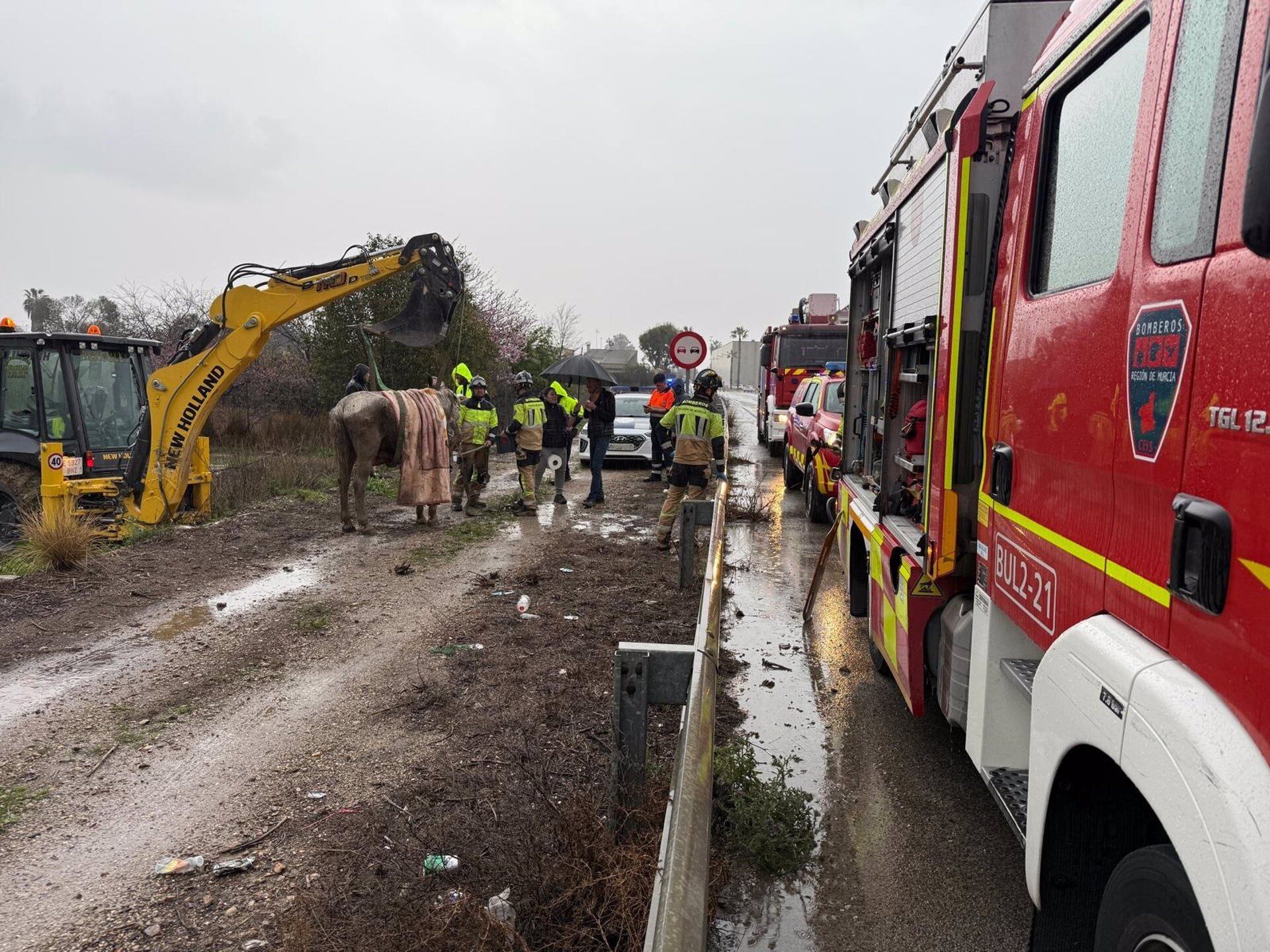 14/03/2025 Sucesos.- Bomberos del CEIS rescatan a un caballo atrapado en un barrizal en Alguazas (Murcia).
Efectivos del Consorcio de Extinción de Incendios y Salvamento (CEIS) de la Región han rescatado a un caballo atrapado en un barrizal en Alguazas (Murcia), según informaron fuentes del '1-1-2'.

ESPAÑA EUROPA MURCIA SOCIEDAD
CEIS RM
