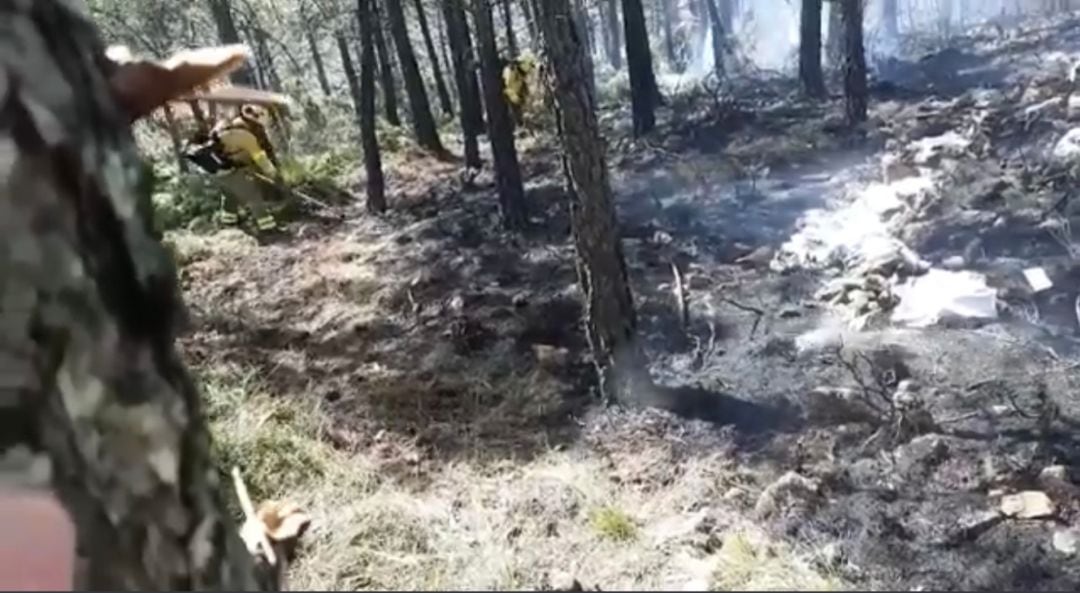 El fuego ha afectado a una zona muy boscasa de la localidad malagueña