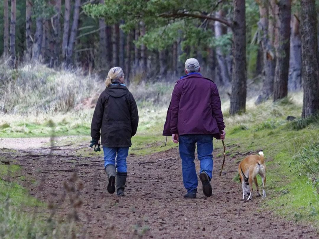 Dudas sobre la competencia de los ayuntamientos a la hora de fijar restricciones al paseo de perros