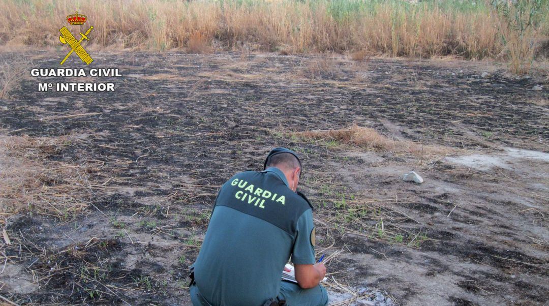 El fuego calcinó cerca de 2.000 metros cuadrados de monte 