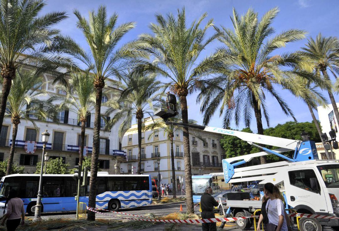 Operarios municipales realizan labores de poda en la Alameda Cristina