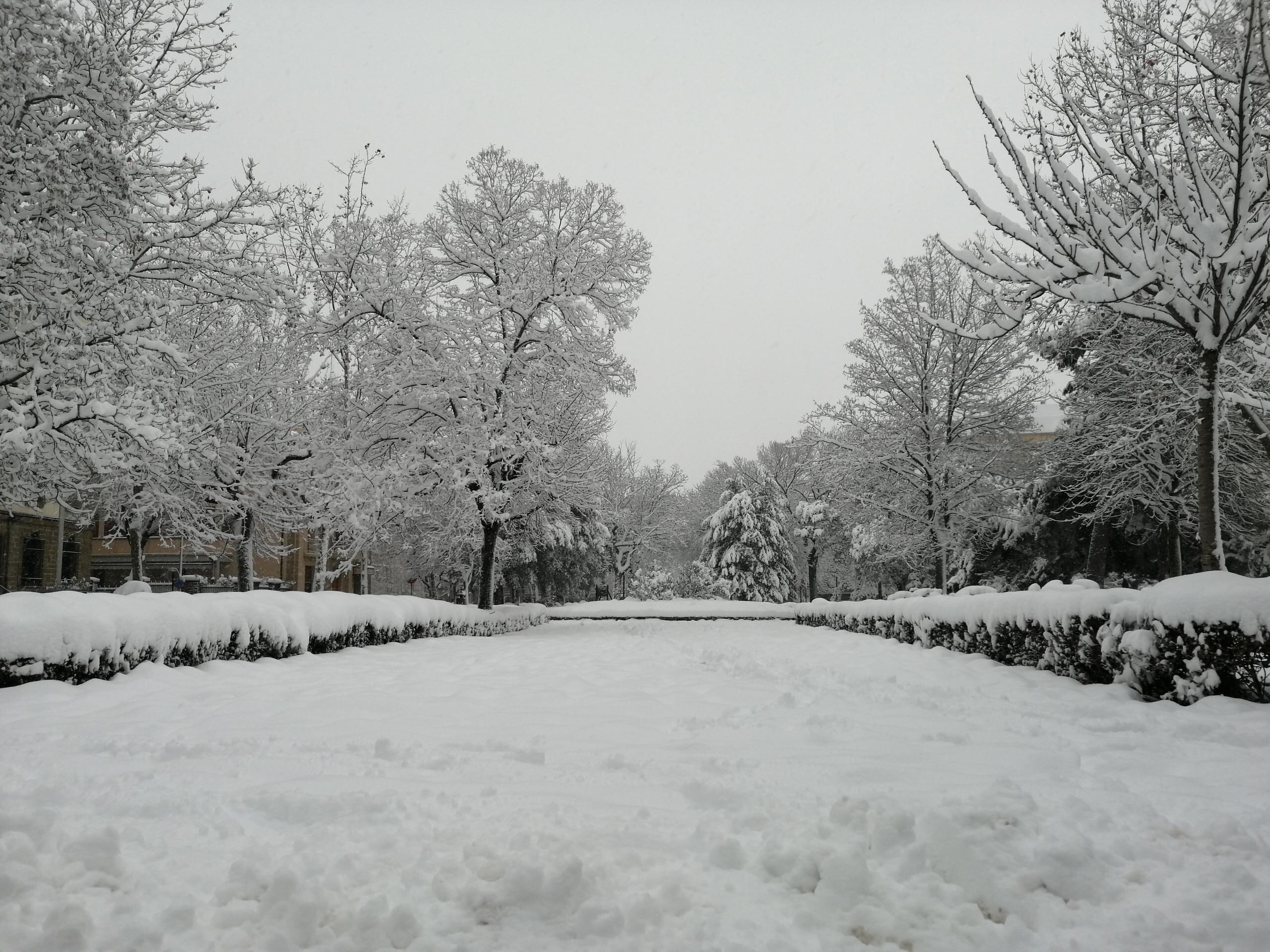 Jaca con nieve este 19 de enero