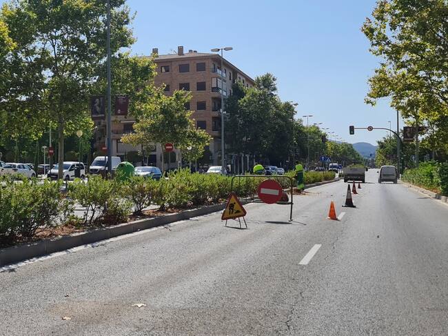 Limpieza Sector 9 en Elda