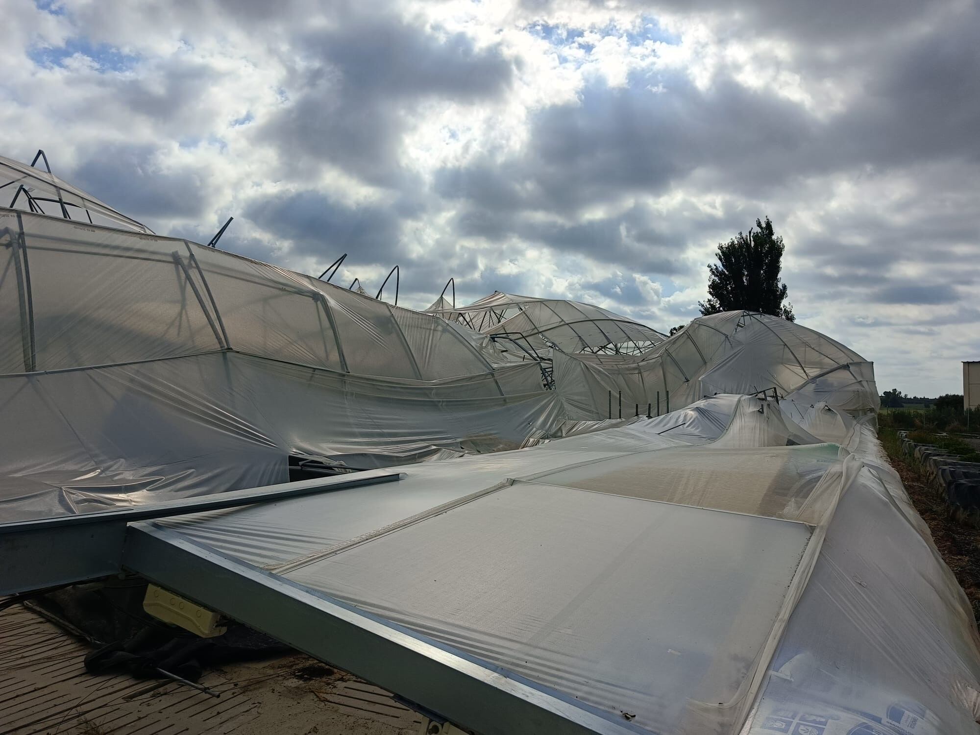 Plantero de Miguel Badía en San Esteban de Litera tras la tormenta