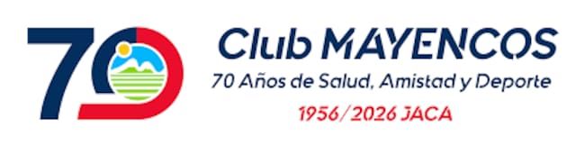 Logo del aniversario