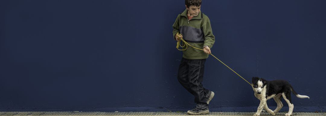 Niño paseando a un perro