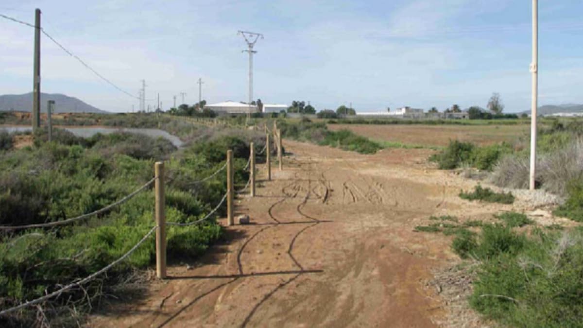 El Consell de Ibiza quiere recuperar el proyecto de senderos turísticos en Ses Salines y financiarlo con fondos europeos