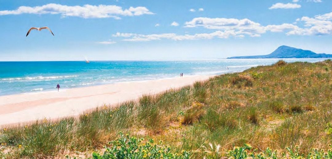 Portada de la nueva guía turística de Oliva