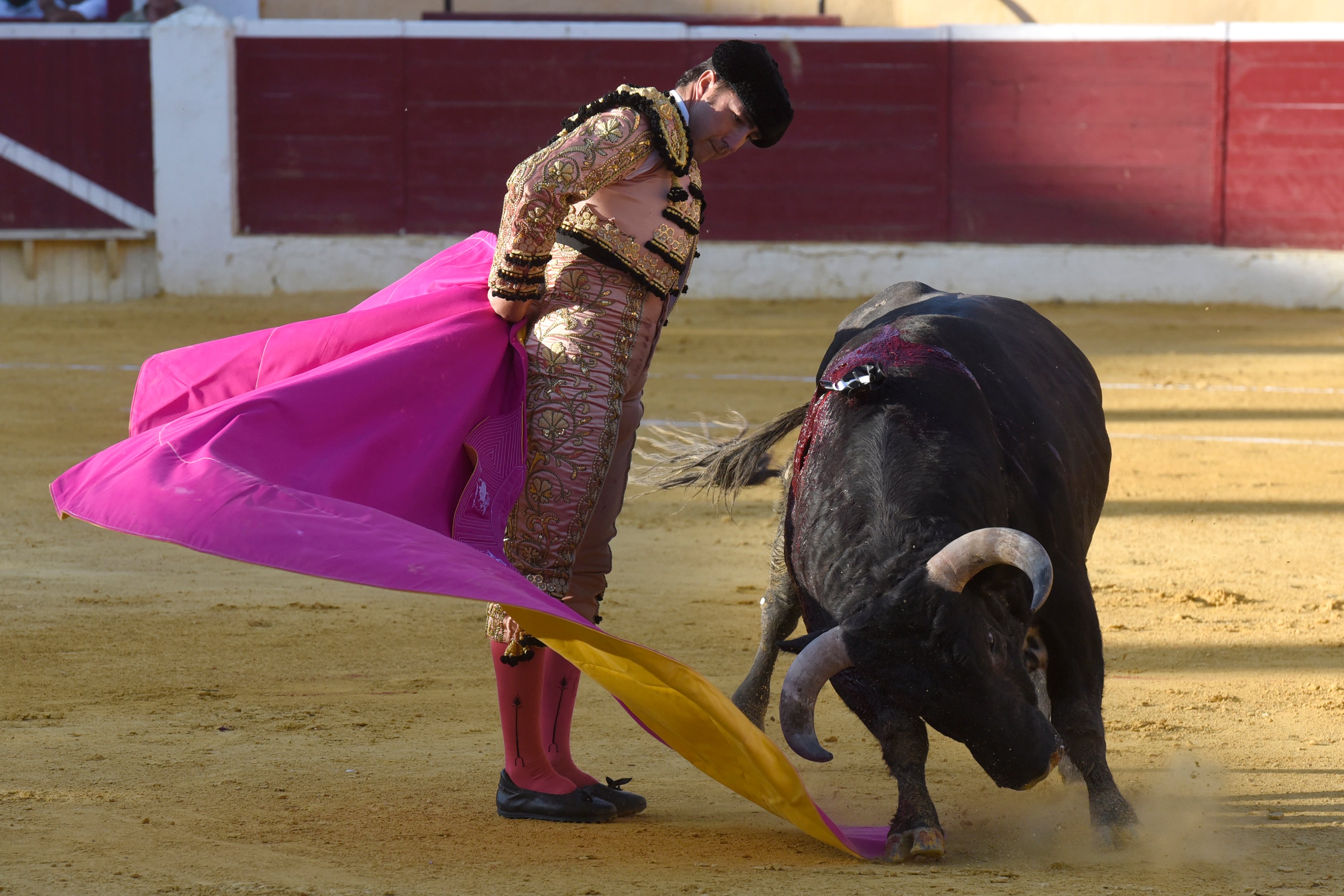 &#039;El Fandi&#039; lidia a uno de sus toros durante la feria taurina de La Albahaca con motivo de las Fiestas de San Lorenzo en plaza de toros de Huesca