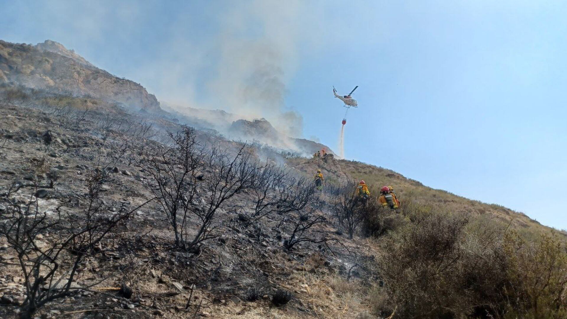 Incendio forestal en las Cuestas de Cedacero
