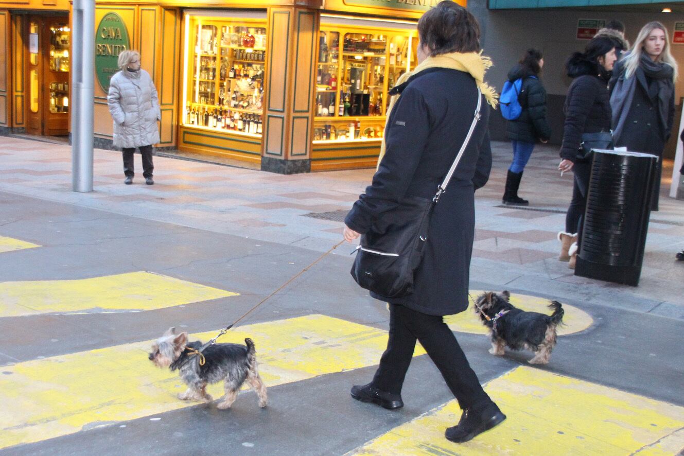 La població creix un 2% i es situa en 78.977 habitants.