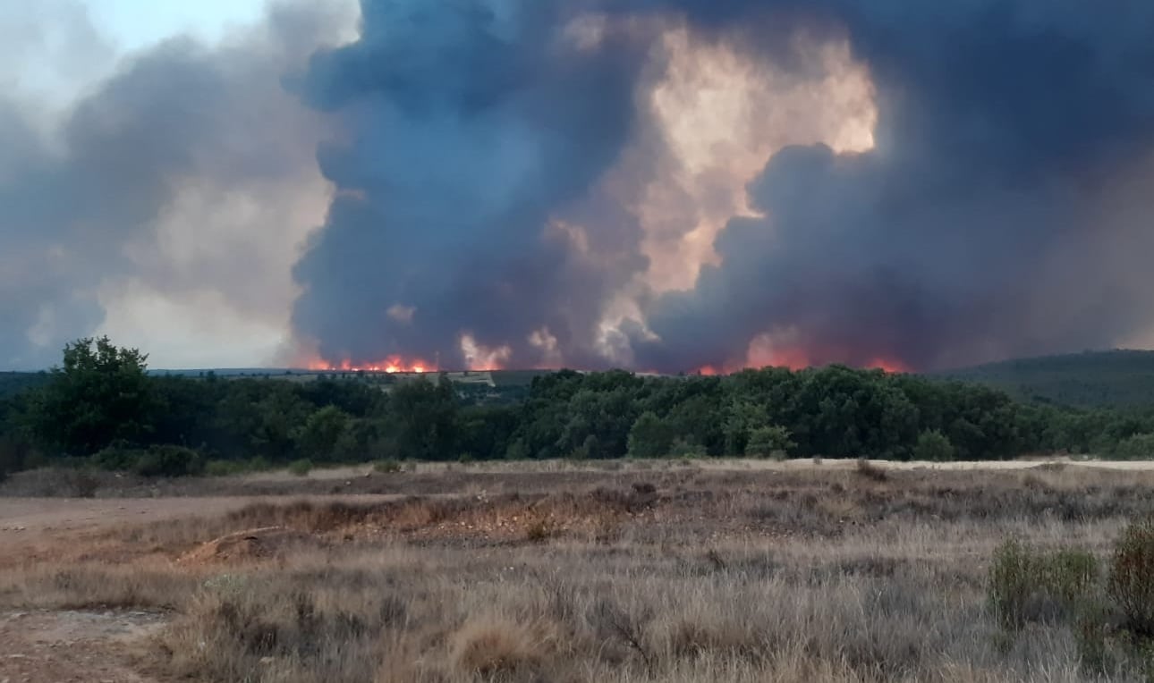 Incendio de Losacio visto desde Tábara