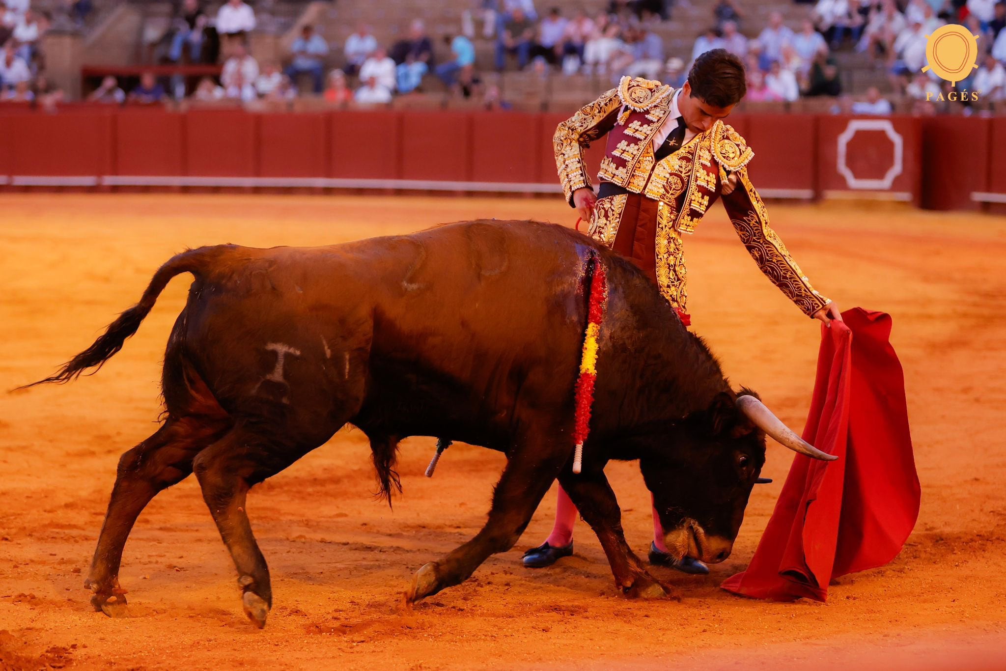 Manuel Jesús Carrión, en un bello natural al sexto novillo de la tarde