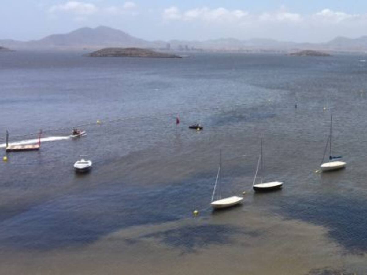 "El Mar Menor puede estar feo pero no peligroso"