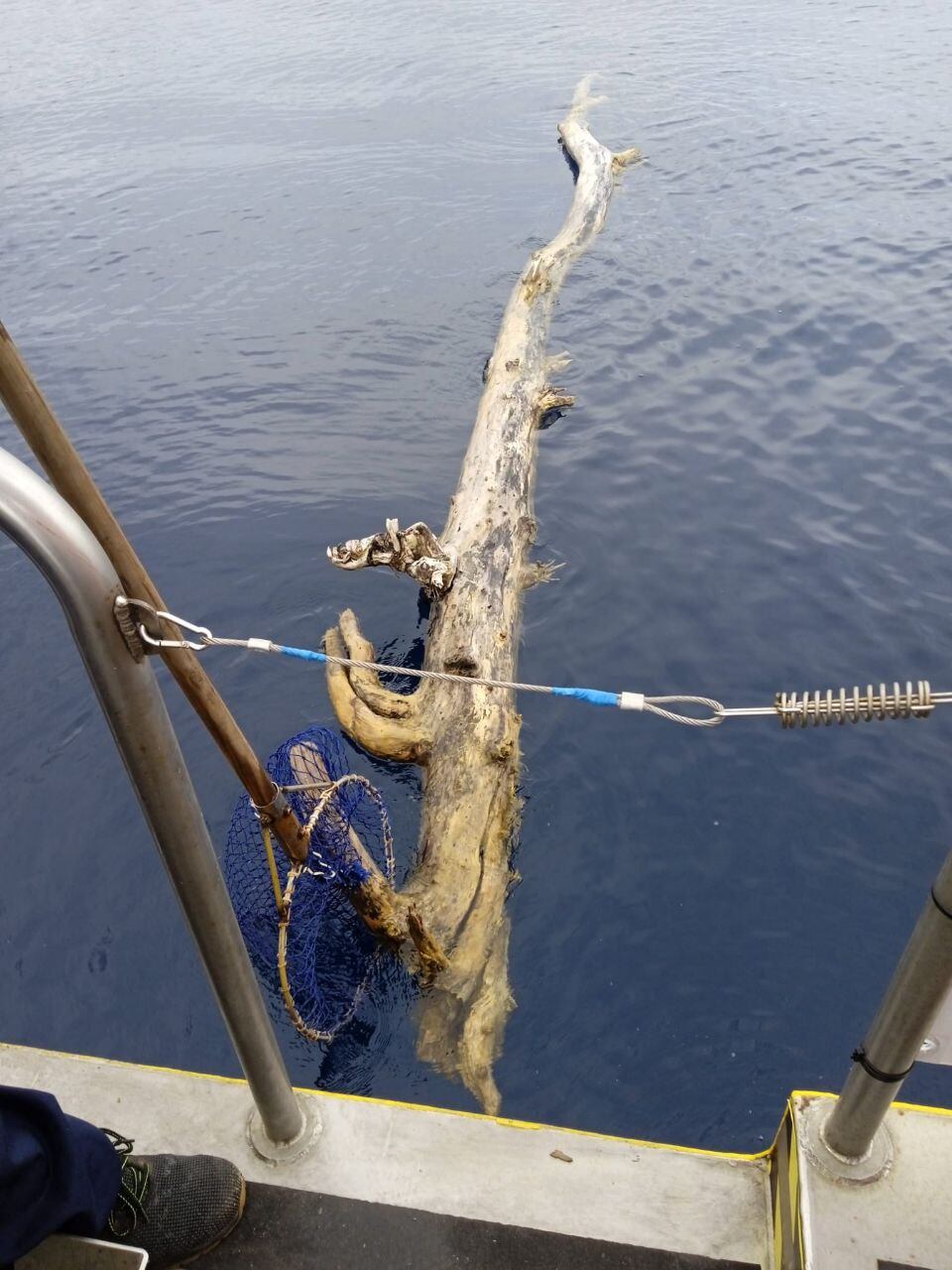 La fusta és un dels residus més comuns a la mar i suposa un risc per a la navegació.