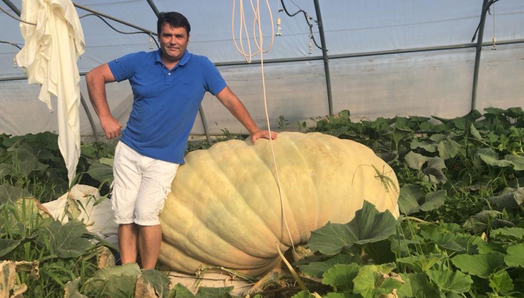 Las calabazas gigantes pueden llegar a crecer 25 kilos al día.