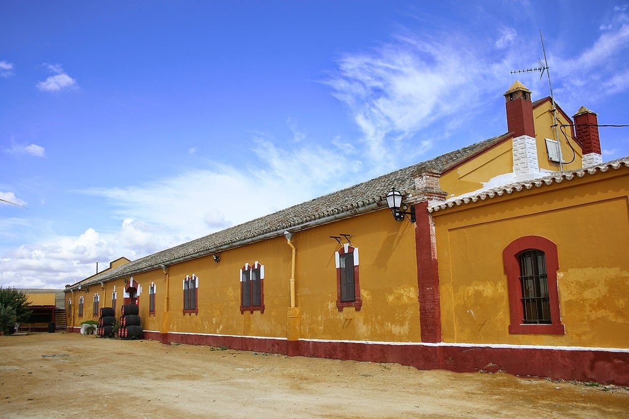 Recorrido por el camino del Rocío jerezano