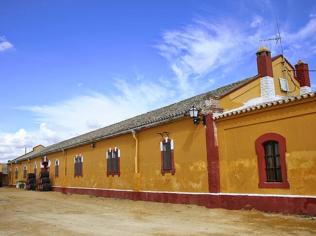 Recorrido por el camino del Rocío jerezano