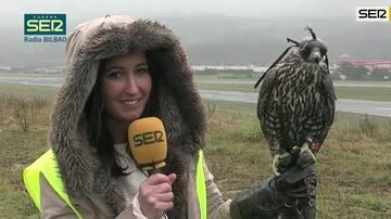 40 halcones velan por la seguridad del aeropuerto de Bilbao