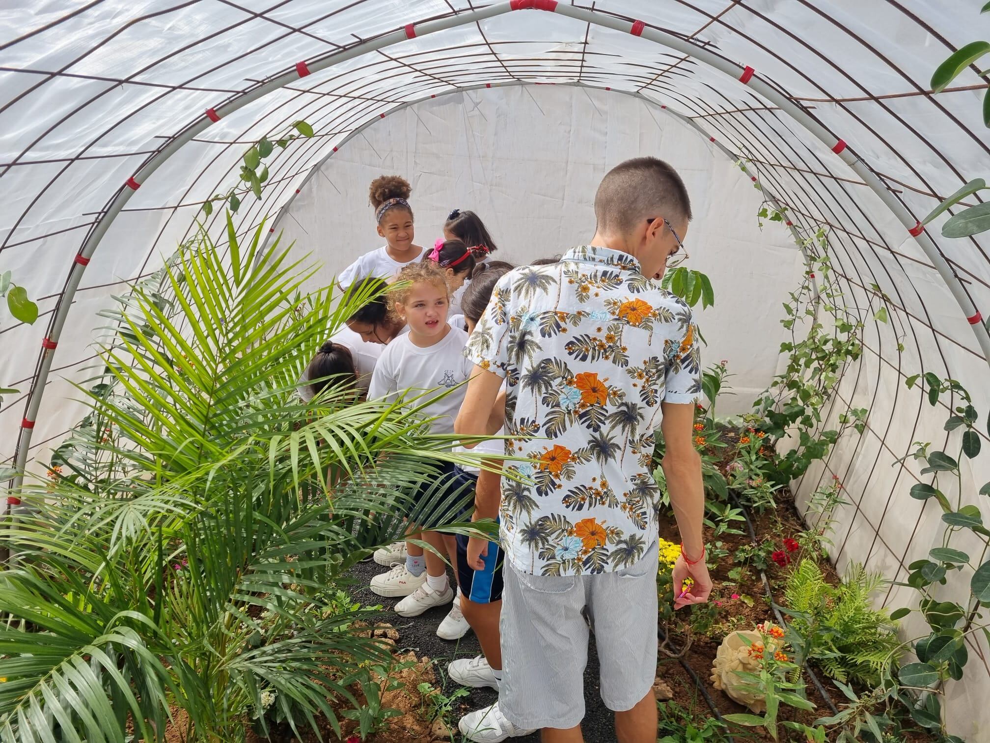 Varios alumnos dentro del mariposario del colegio.